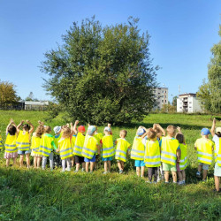 Pierwszy tydzień w „Bajce”