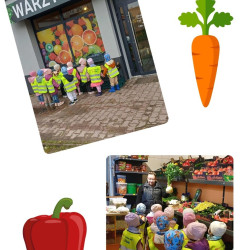 Wycieczka do warzywniaka