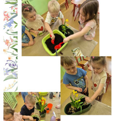 WIOSENNY OGRÓDEK  
„ SMERFÓW”