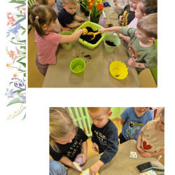 WIOSENNY OGRÓDEK  
„ SMERFÓW”