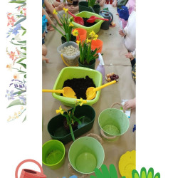 WIOSENNY OGRÓDEK  
„ SMERFÓW”