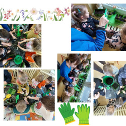 WIOSENNY OGRÓDEK 
 „ STOKROTEK 