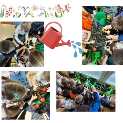 WIOSENNY OGRÓDEK 
 „ STOKROTEK 