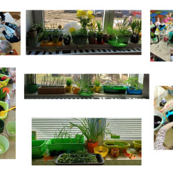 Realizacja projektu
 „Odkrywamy Polskę z Polinką”